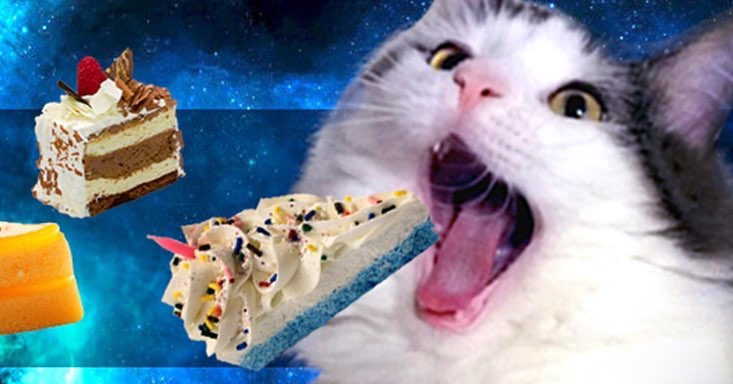 Photoshop cat collection