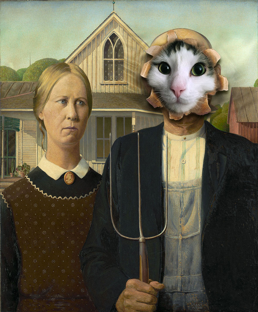Photoshop cat collection