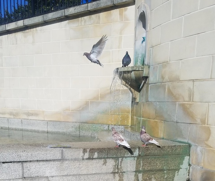 Foto che vale la pena dare un'occhiata due volte