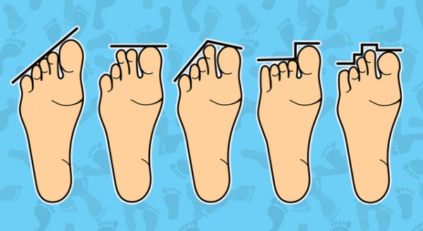 Forme et caractère du pied