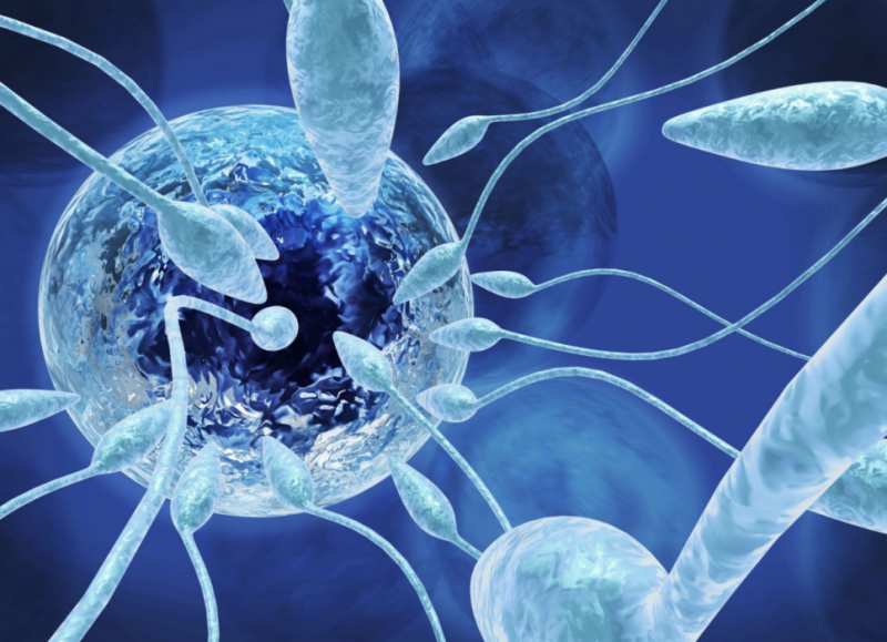 Asthenoteratozoospermia: מהי אבחנה זו, האם ניתן להיכנס להריון באופן טבעי, סיבות לפתולוגיה, טיפול