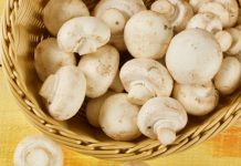 Nấm nào có thể đông lạnh và loại nào không đáng